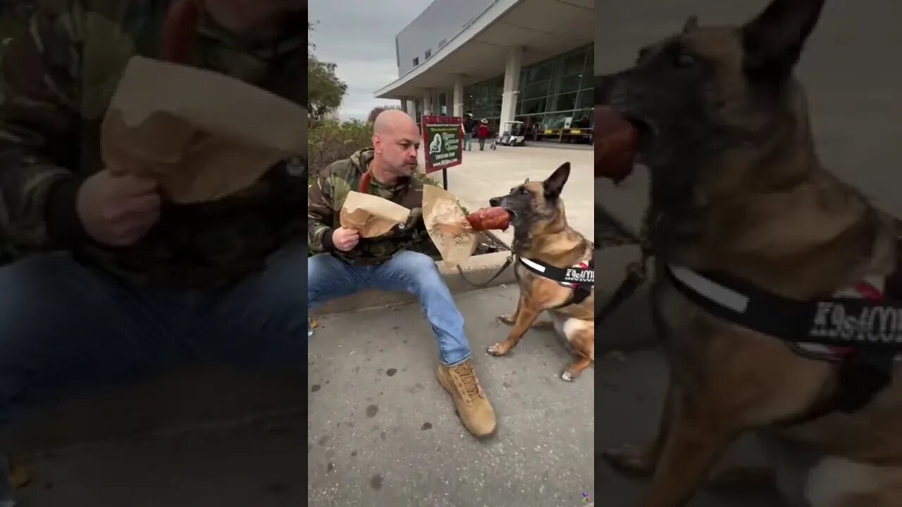 Touring Rodeo Houston with K9s4cops