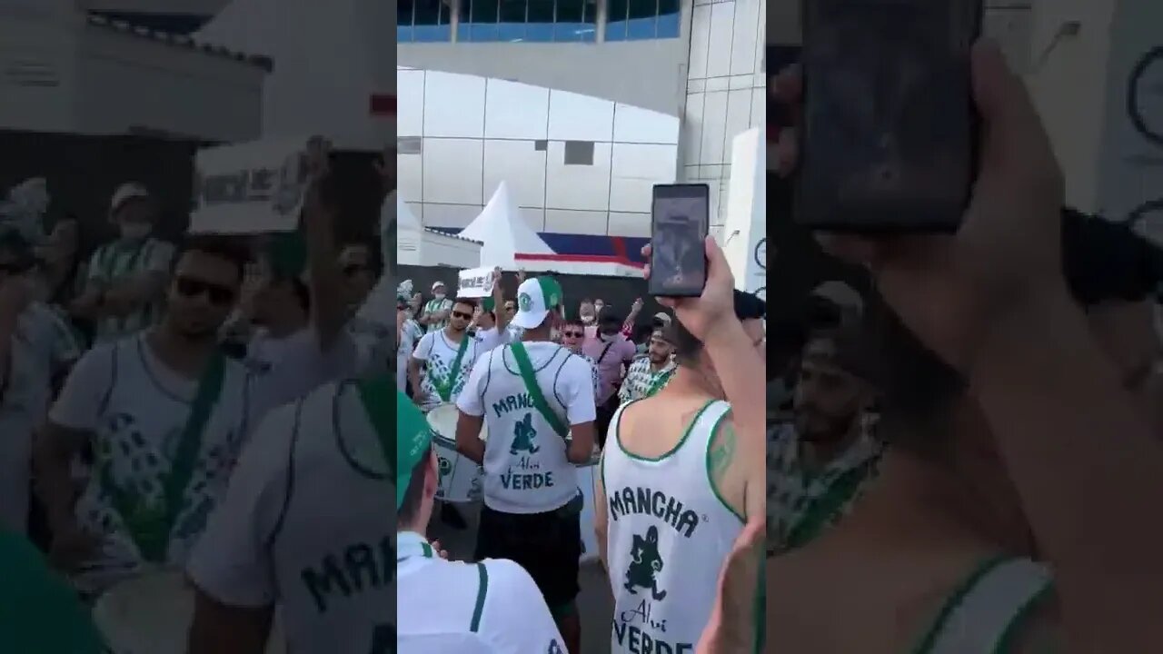 " F*ck Chelsea" - Torcida do Palmeiras xingando o Chelsea