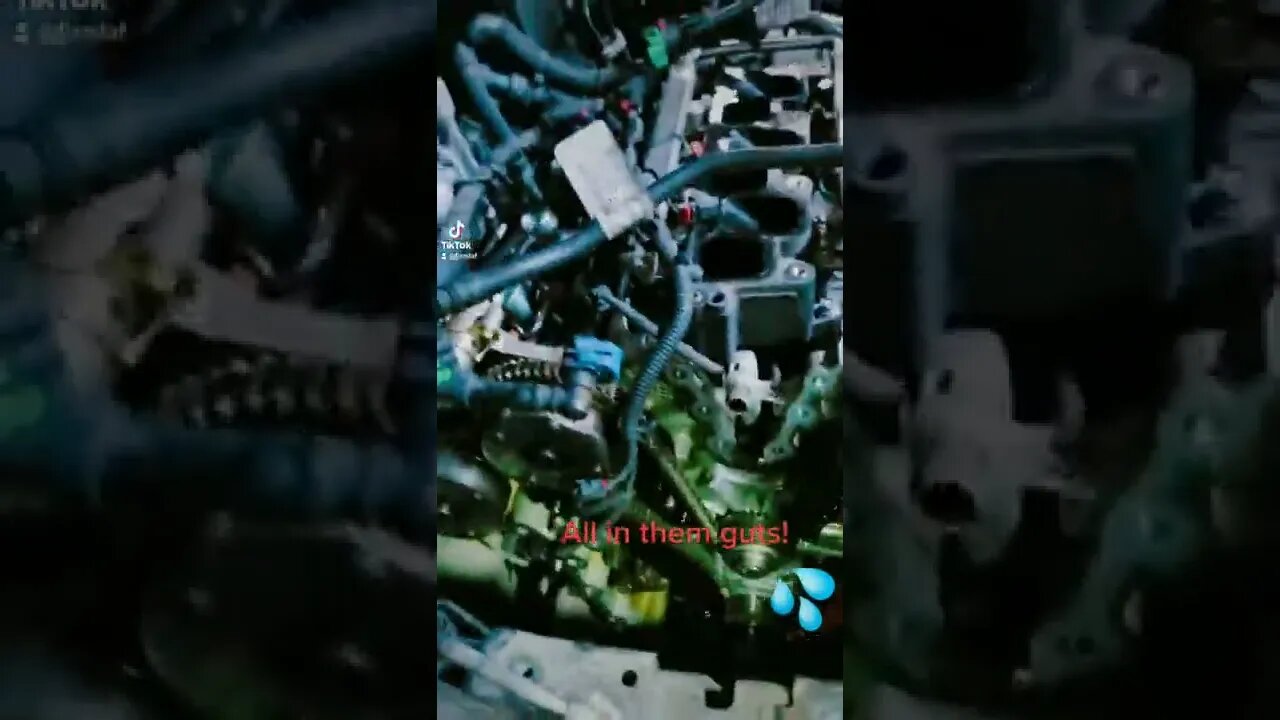 All Up in Them Guts!