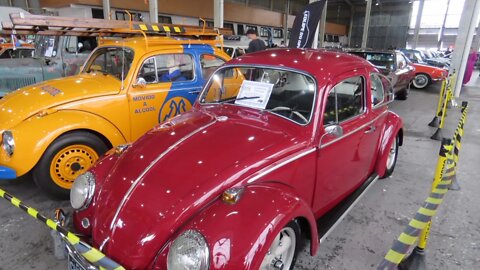 Só Fusca, encontro de carros antigos!!!