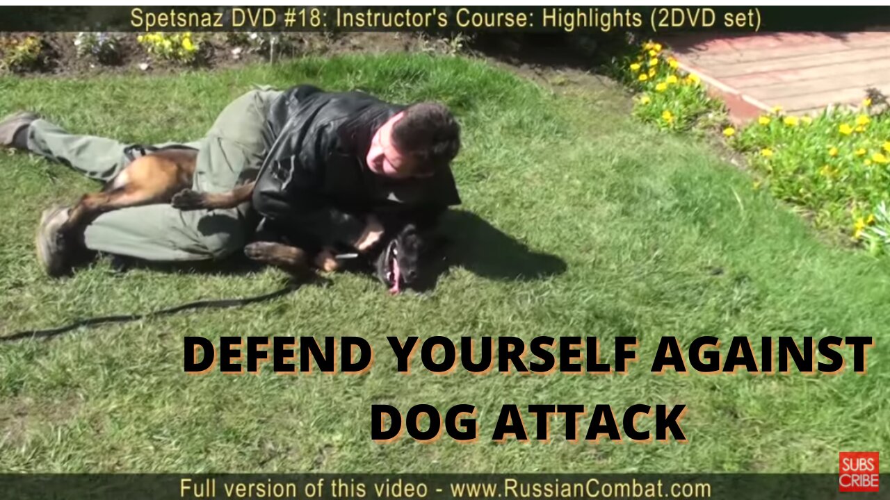 How To Defend Yourself Against a Dog Attack