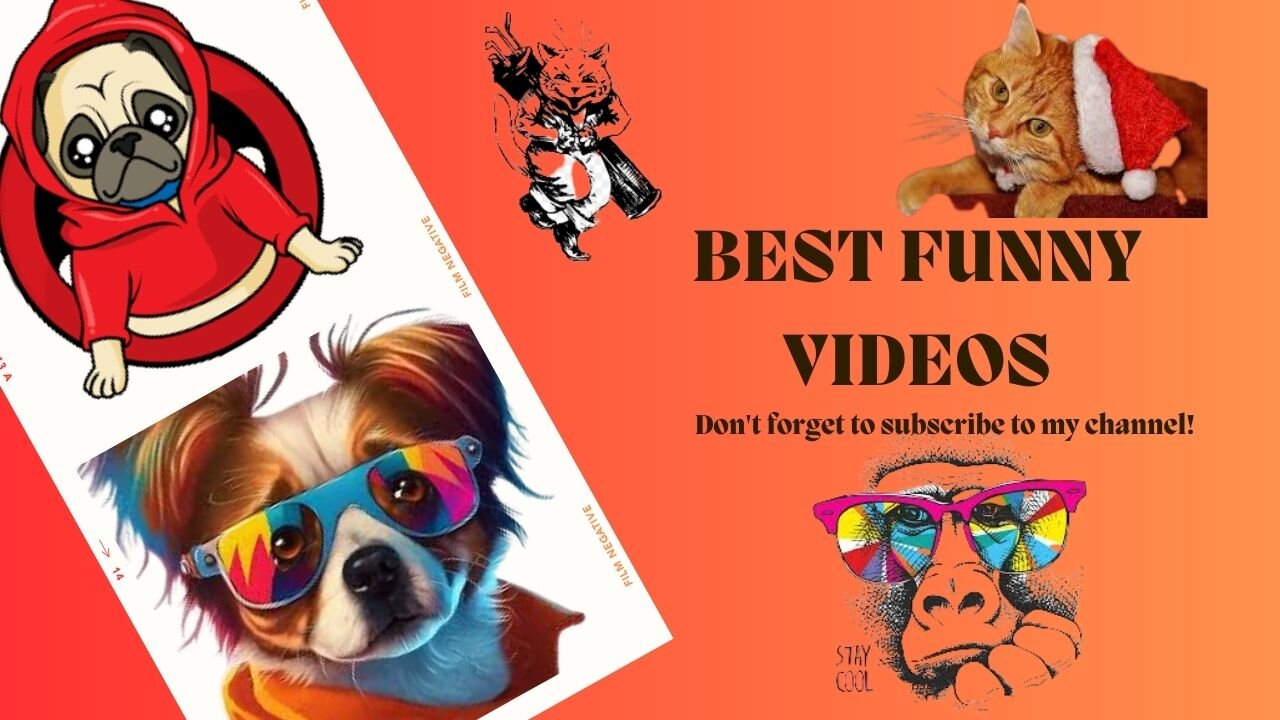 Animals Crazy Moments | Episode 198