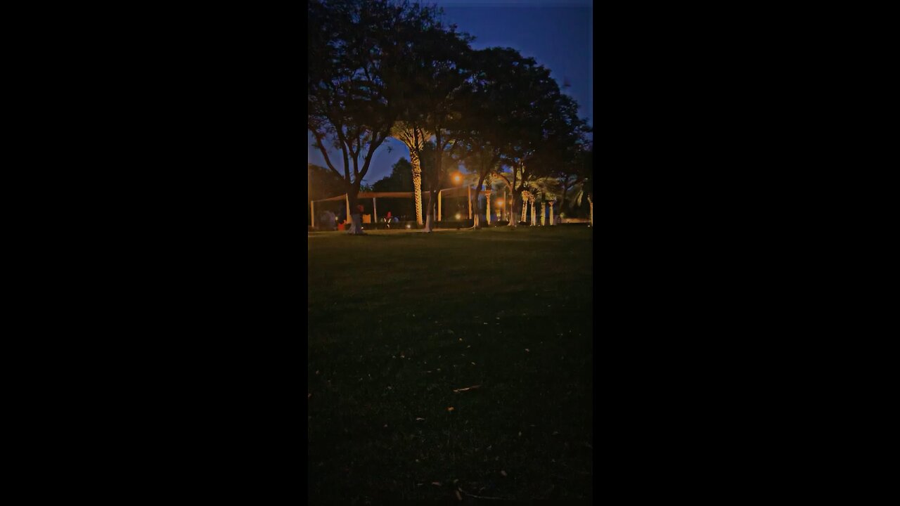 Night view