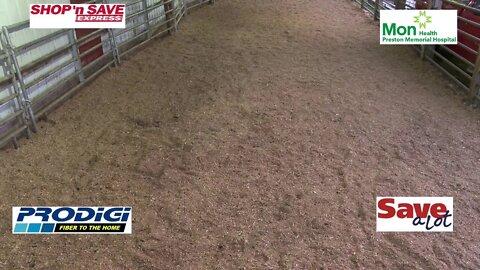 Mountain Digital Hometown TV Live Stream