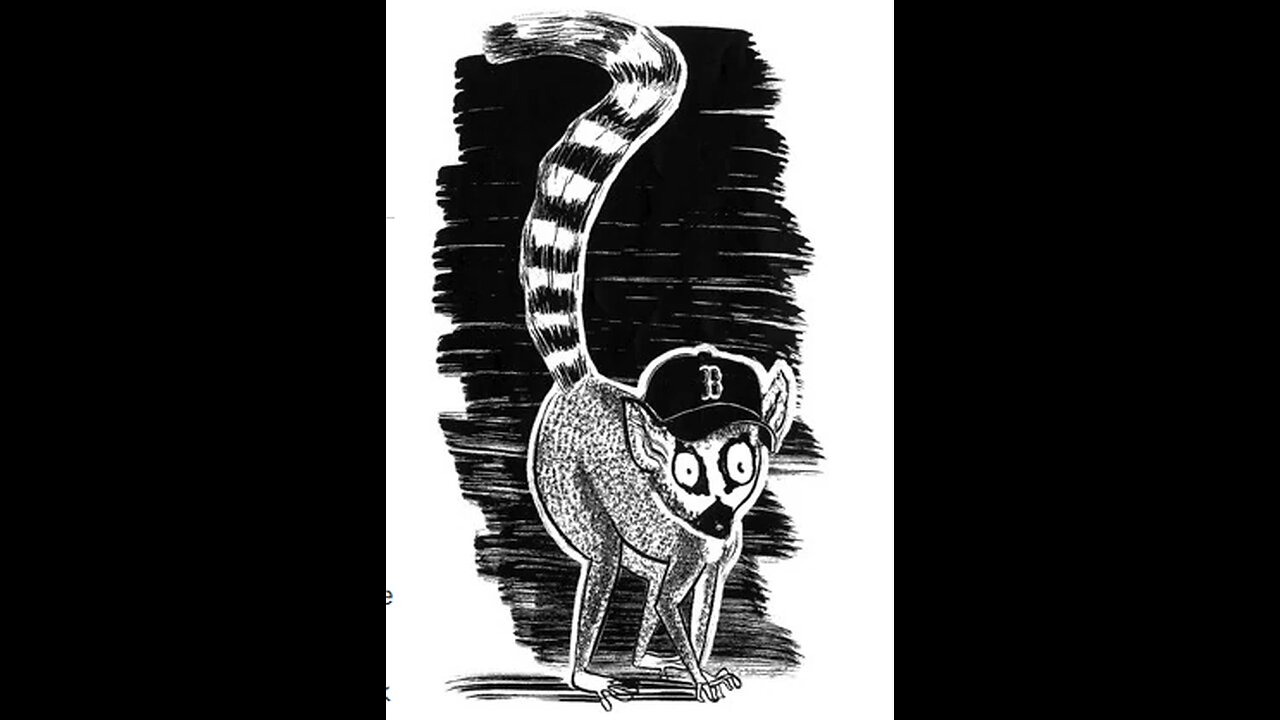 Boston Lemur