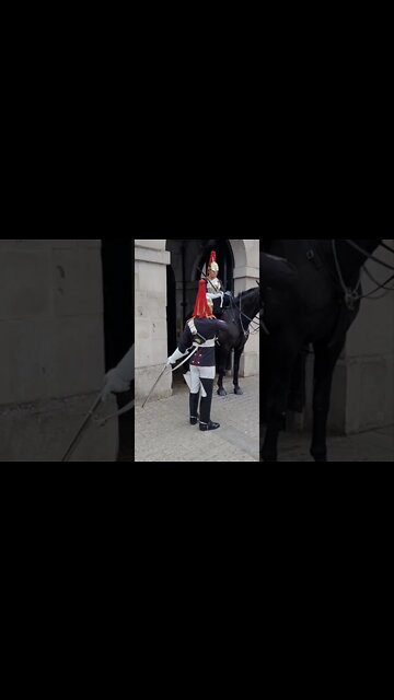 the queen's guard puts away his sword #horseguardsparade