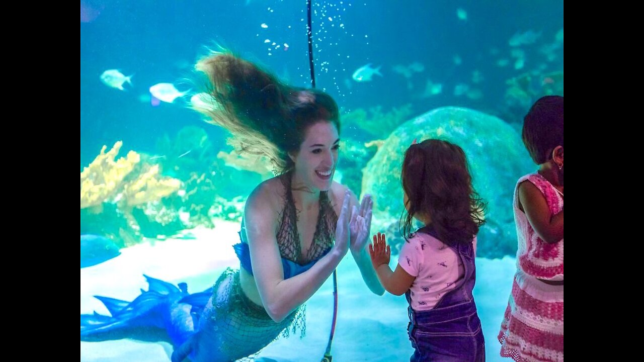 REAL MERMAIDS! Mermaid Magic opens at OdySea - ABC15 Digital