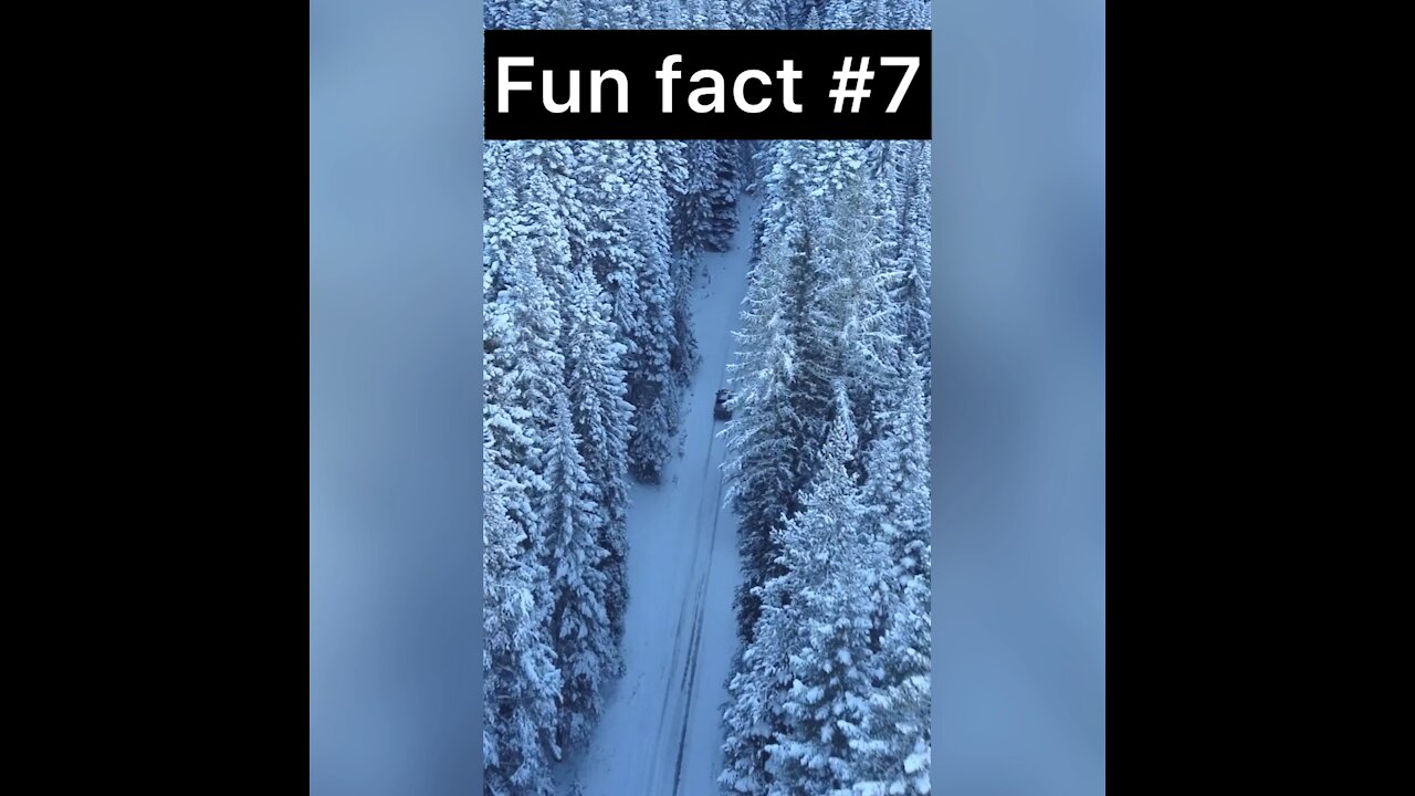 Do you know this about human height