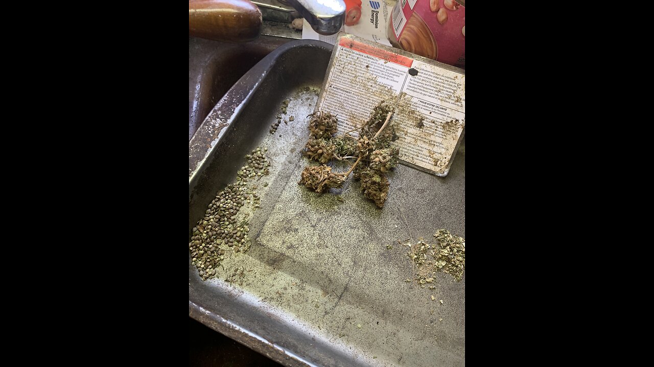 Derek Hunter Show democrats wan Senator Diane Feinstein hauling ass out