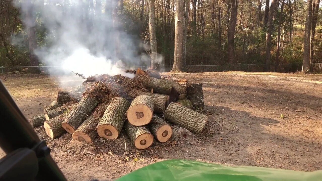 tree cutting and installing wheels on my shop chair