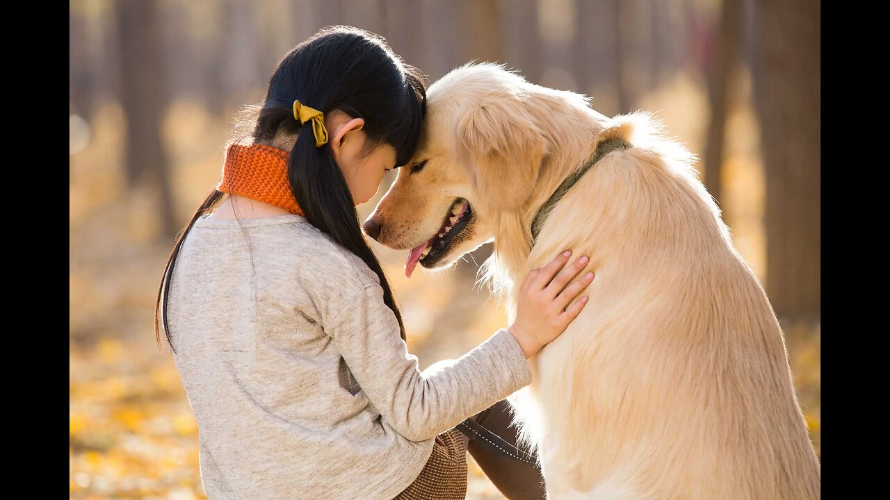 Woofing with Love: Signs Your Dog Adores You !