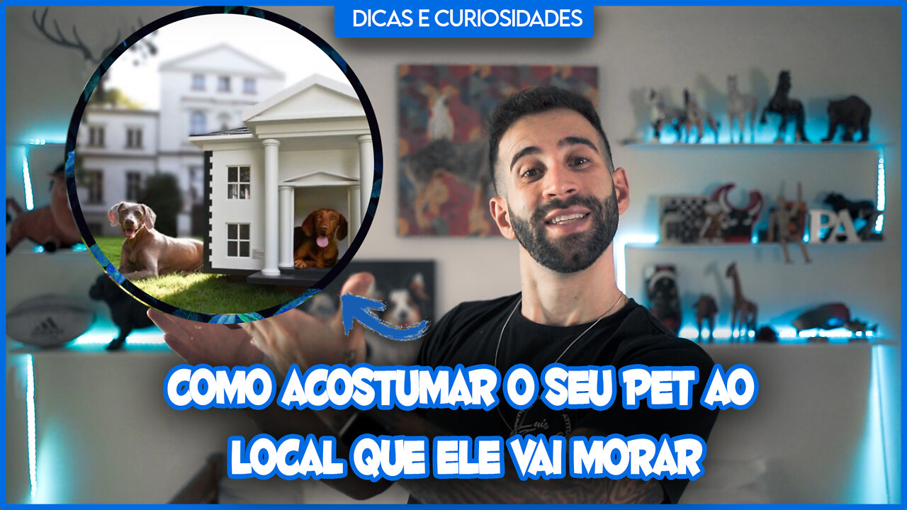 DICAS E CURIOSIDADES | COMO ACOSTUMAR O SEU PET AO LOCAL QUE ELE VAI MORAR