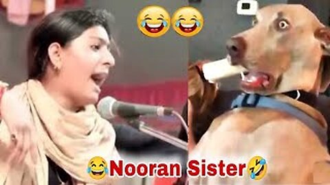 NOORAN SISTERS FUNNY VIDEO🤣 ||मज़ेदार वीडियो || nooran sisters funny song video 🤣🤣 || dj pukuriya