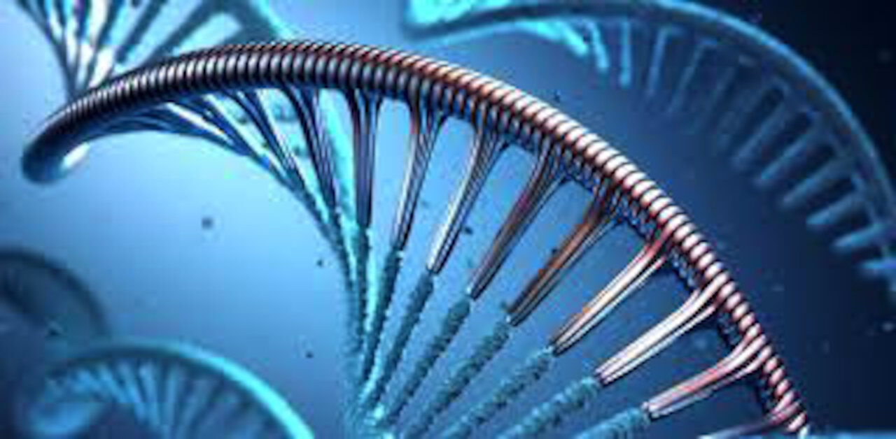 THE MESSAGER DNA TO M-RNA