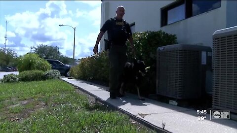 Pasco community raising funds for K-9 deputies after retirement