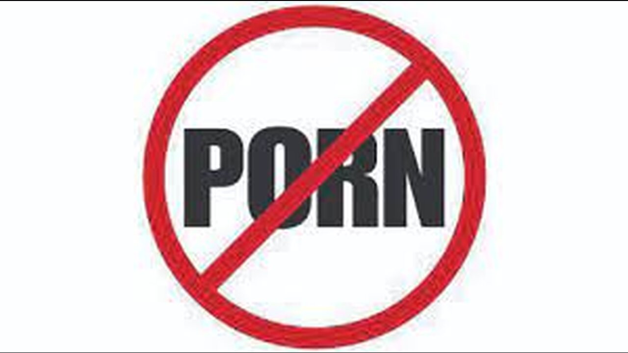 Porn Petition Accepted!