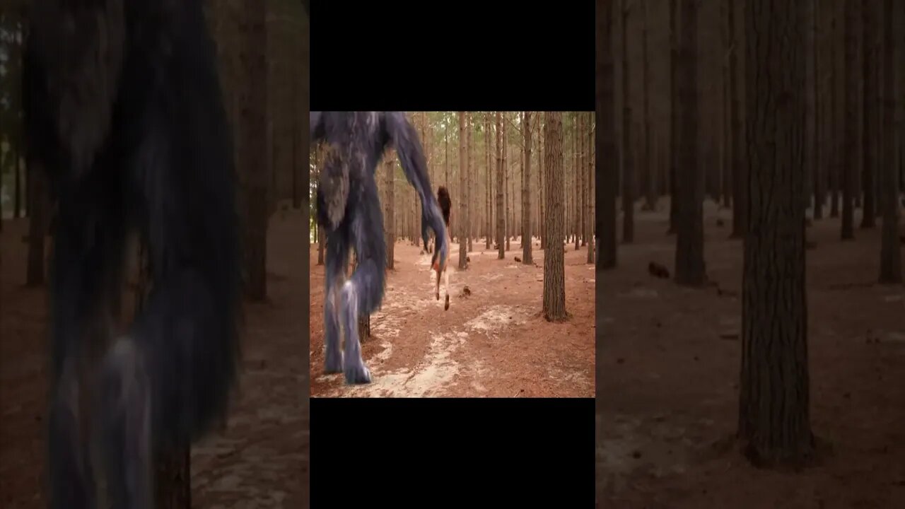 Mysterious Monster Chase: What Happened Next? #shorts #ytshorts