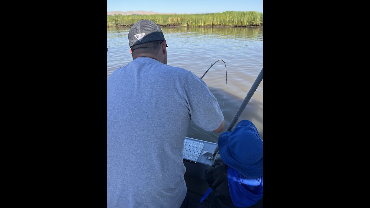 07-01-23 Suisun City, CA - 42” and 49” Sturgeon