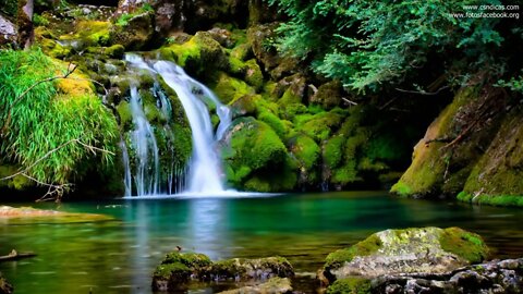 Música Para Meditação