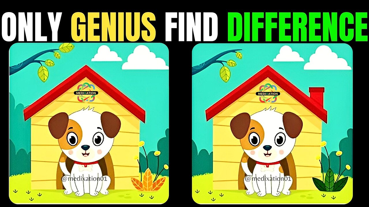 Spot The Difference : Can You Find All[ Find The Difference #19]