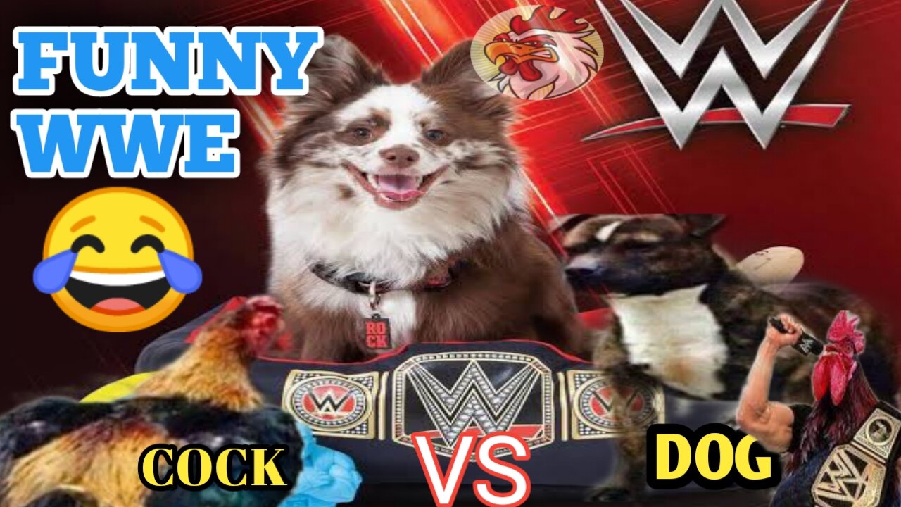 FUNNY WWE DOG VS COCK FIGHT