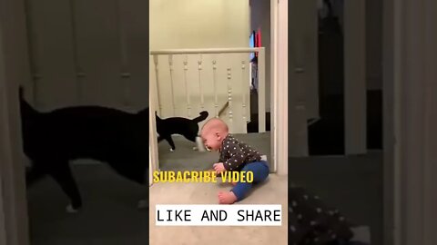 Funny baby hiding play with cats live video 2022,Kids funny video live 22, #shorts #baby #funny #new