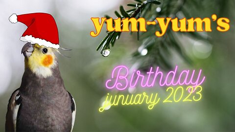 yum-yum's New year video