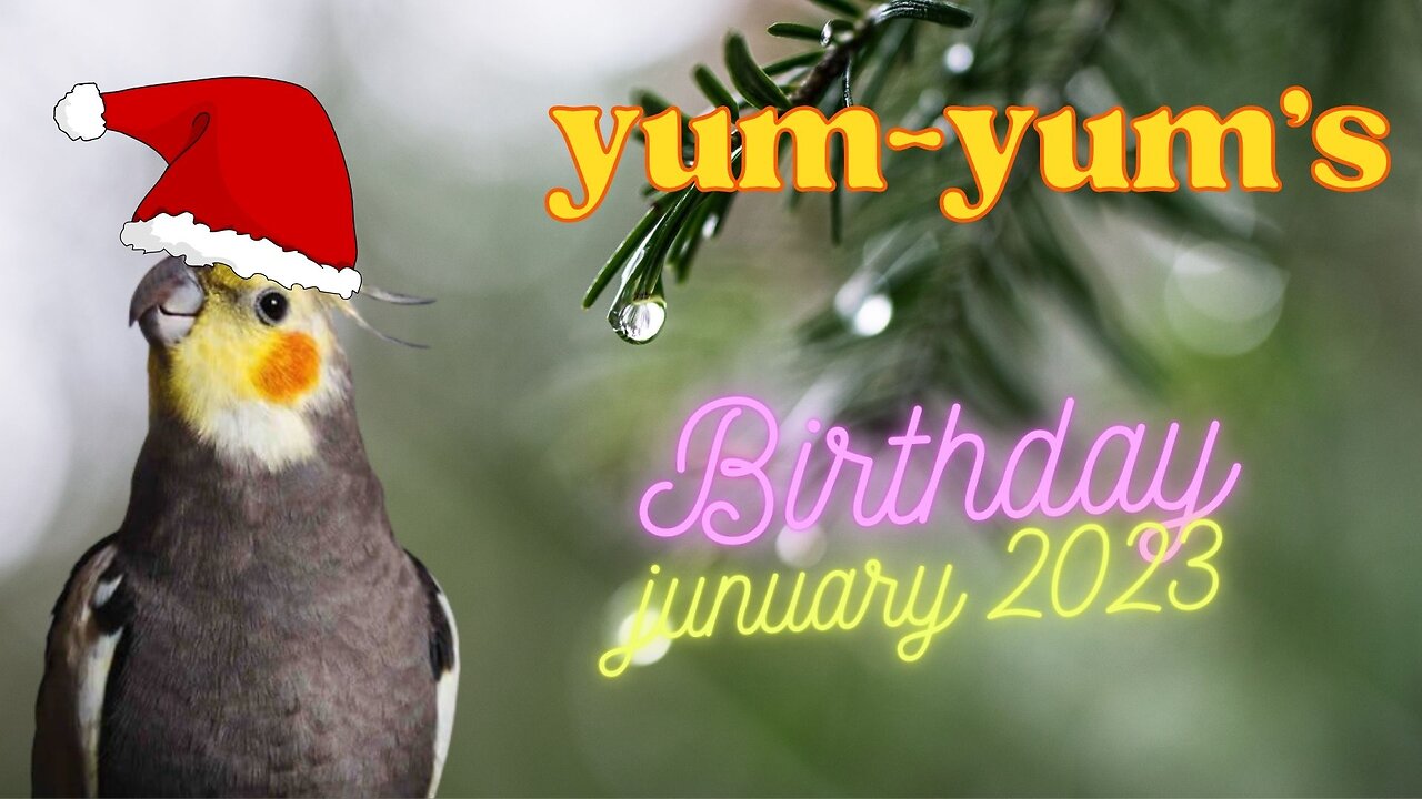 yum-yum's New year video