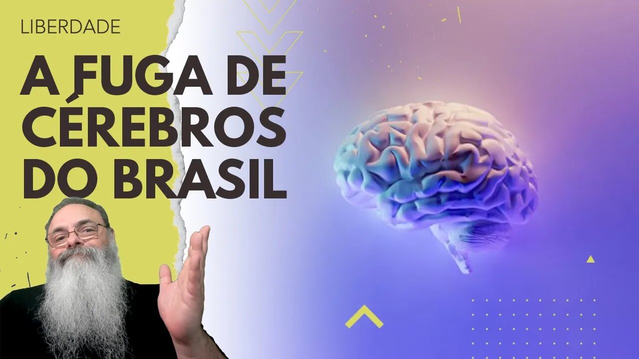 FUGA de CÉREBROS do BRASIL só se ACENTUA a CADA ANO de INSEGURANÇA JURÍDICA a MAIS: COMO RESOLVER?