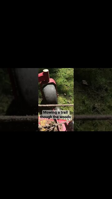 Mowing A Trail Through The Woods