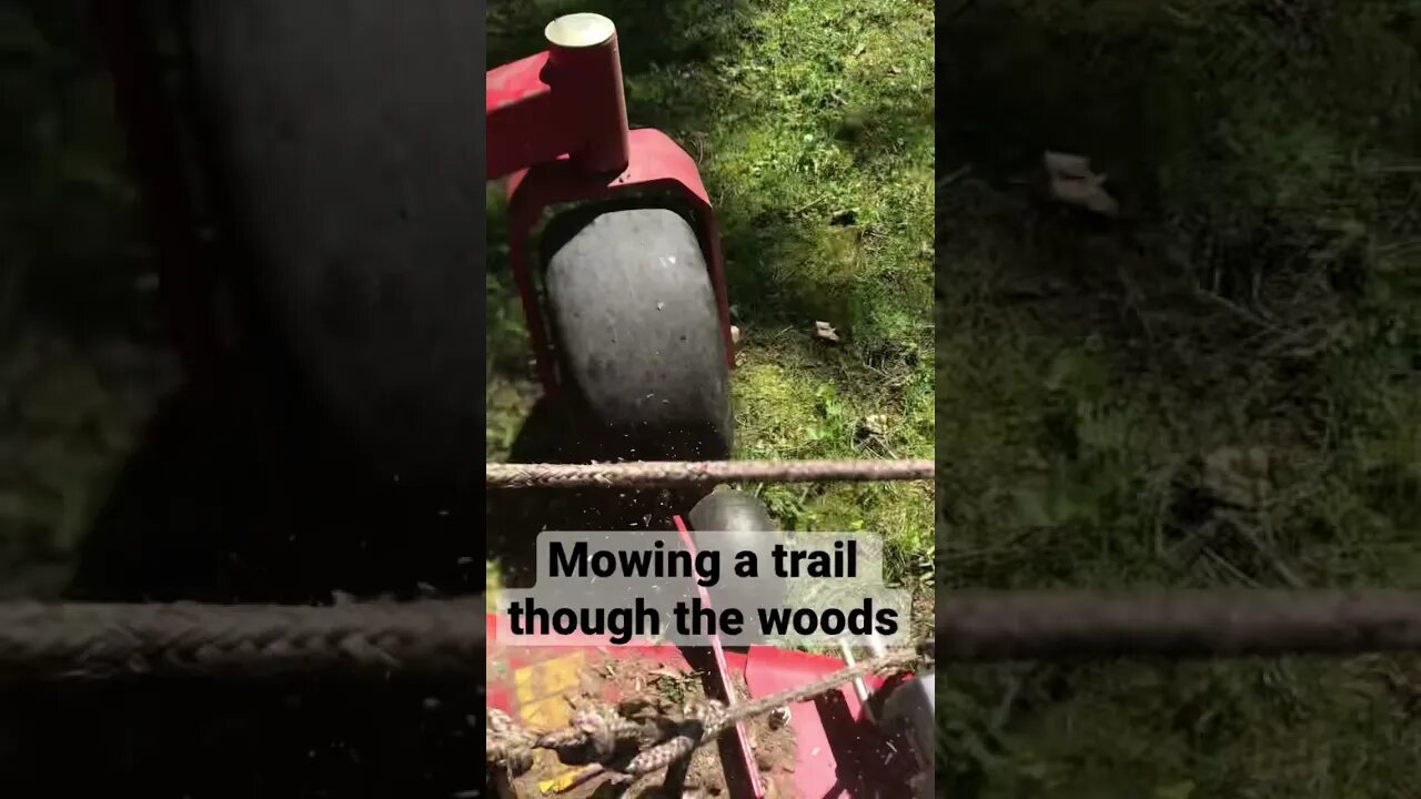 Mowing A Trail Through The Woods