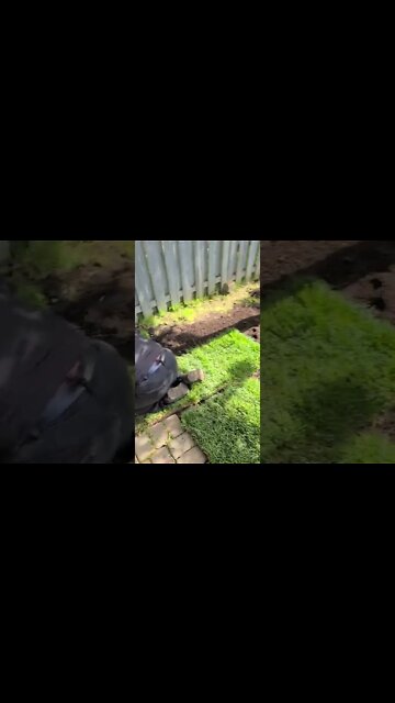 Laying Sod one roll at a time! #leafitalone