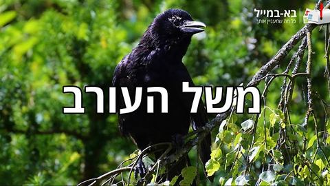 משל העורב – הציפור שלא ידעה מה אלוהים העניק לה במתנה