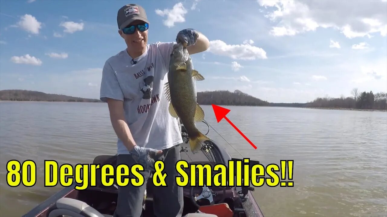 February Sunscreen & Smallies!!! #bassfishing #crankbait #spinnerbait