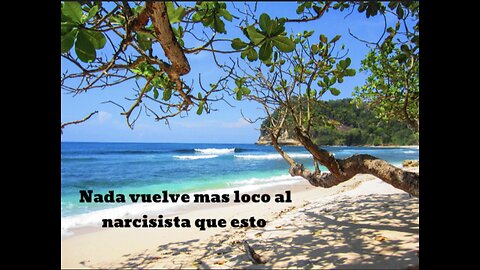 Nada Vuelve Mas Loco Al Narcisista Que Esto