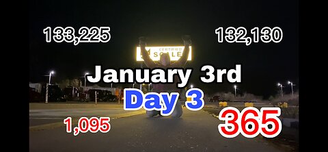 January 3rd. 133,225 Push Ups