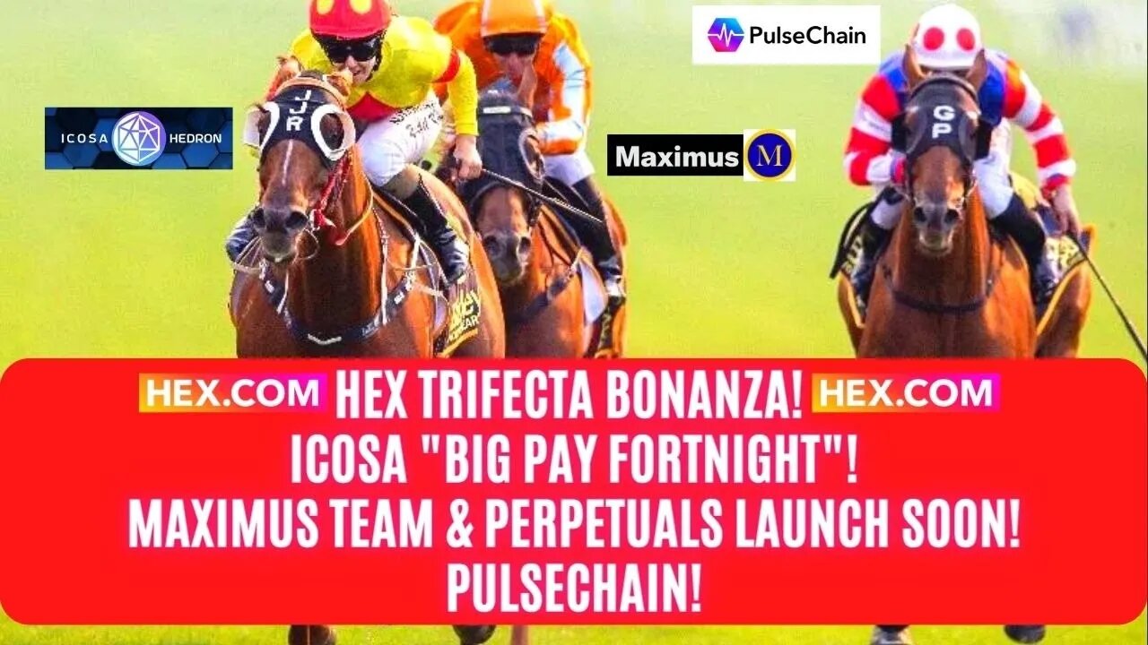 Hex Trifecta Bonanza! Icosa "Big Pay Fortnight"! Maximus Team & Perpetuals Launch Soon! Pulsechain!