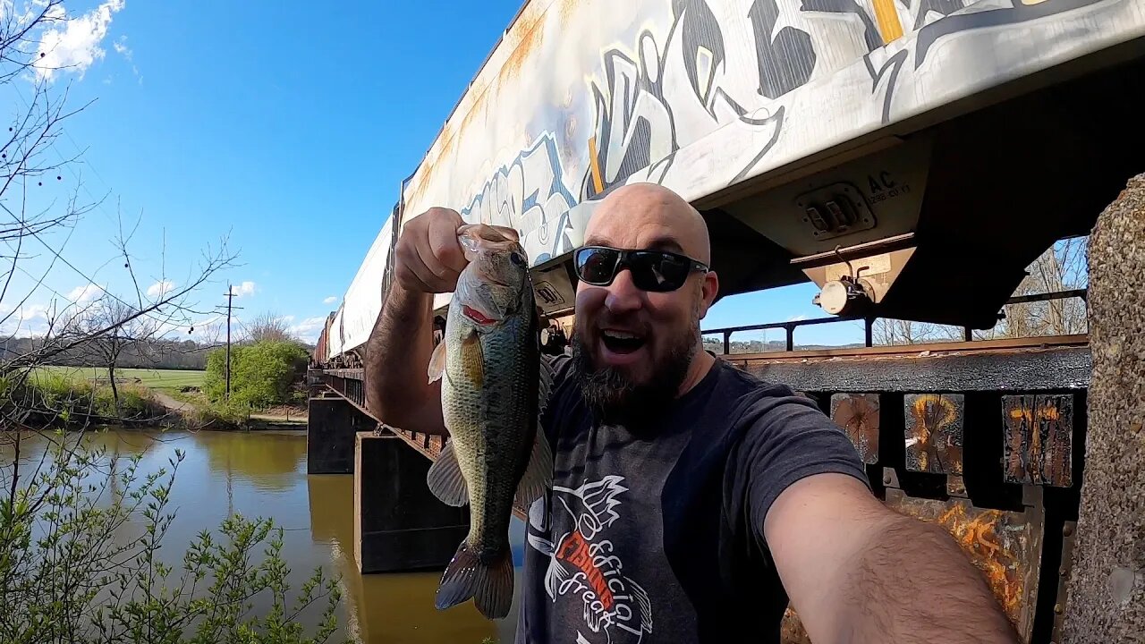 Do trains passing over water help catch fish???