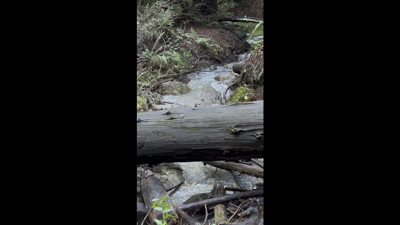 Standing on Creek Crossing