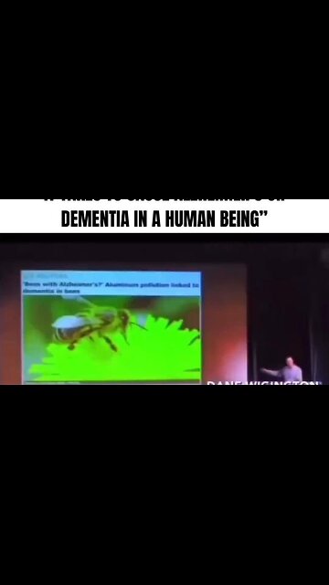 Bees are essential to eco-systems everywhere & they’re dying at an alarming rate.