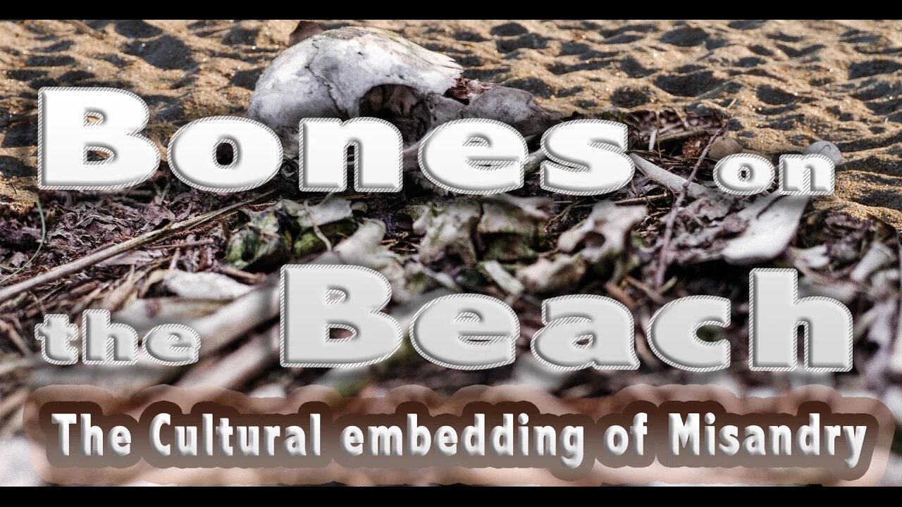 Bones on the Beach: The Misandry Embedded in our Culture and in APA Division 51