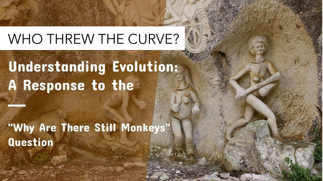 Understanding Evolution: A Response to the "Why Are There Still Monkeys" Question #foryou #trending