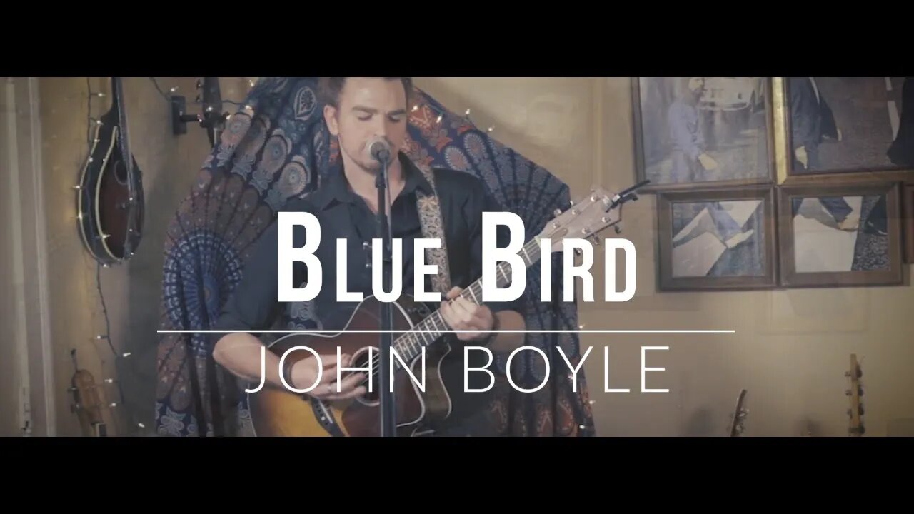 John Boyle Performs "Blue Bird" Accoustic