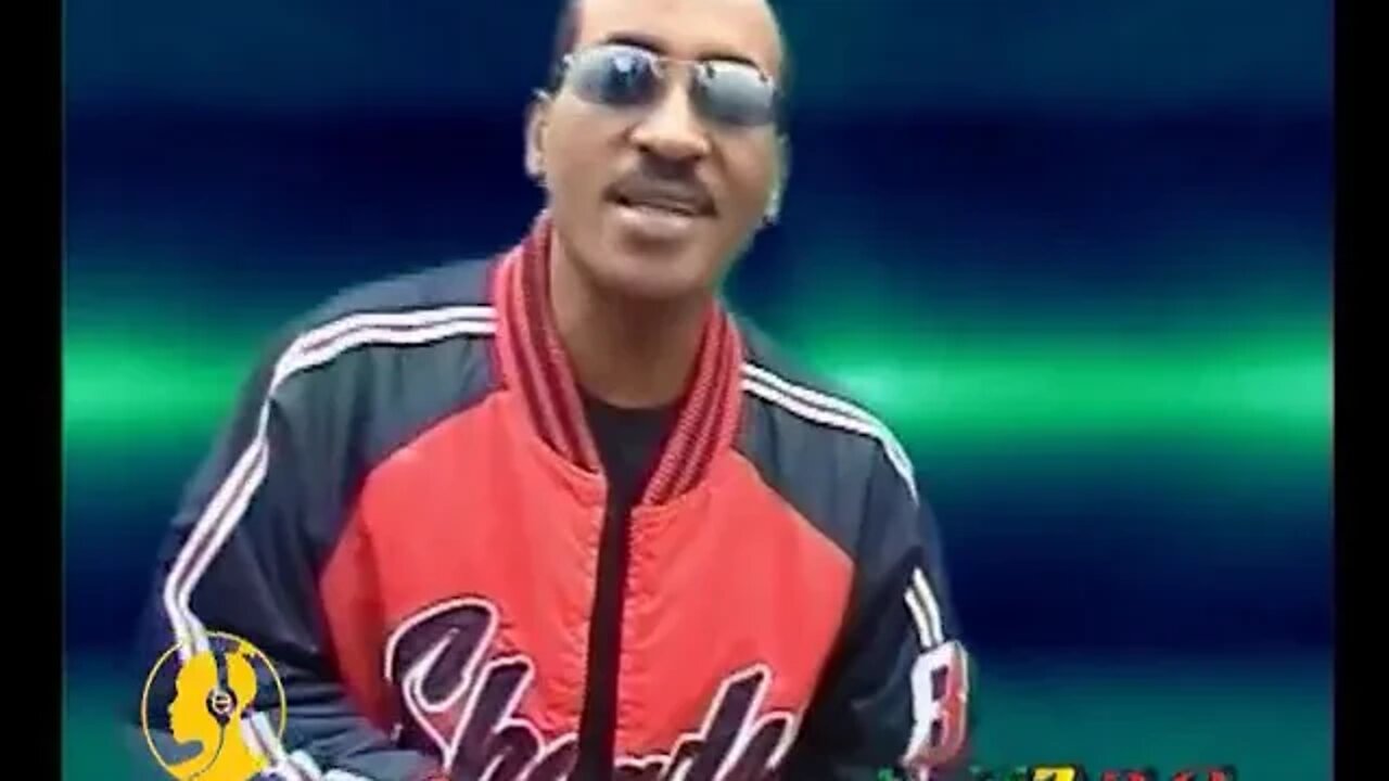 Alemayehu Hirpo Temecheshwey አለማየሁ ሂርጶ ተመቸሽ ወይ Official video