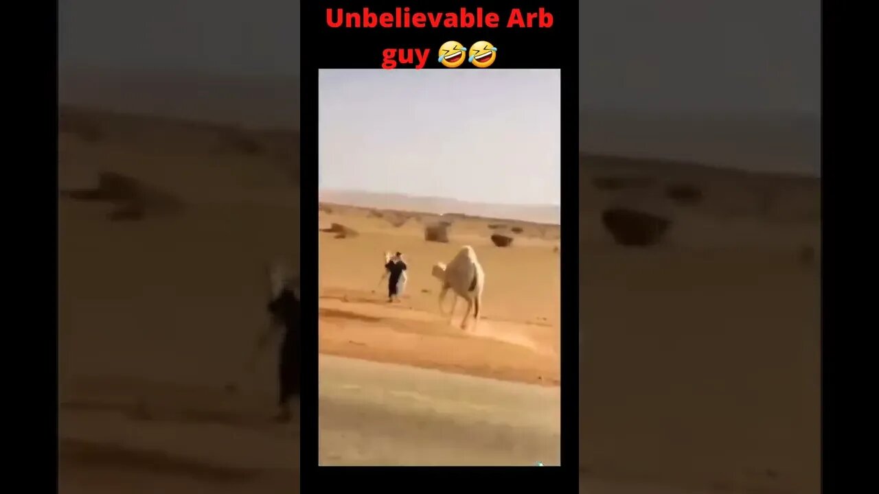 Camel vs Arb guy 🤣🤣🤣