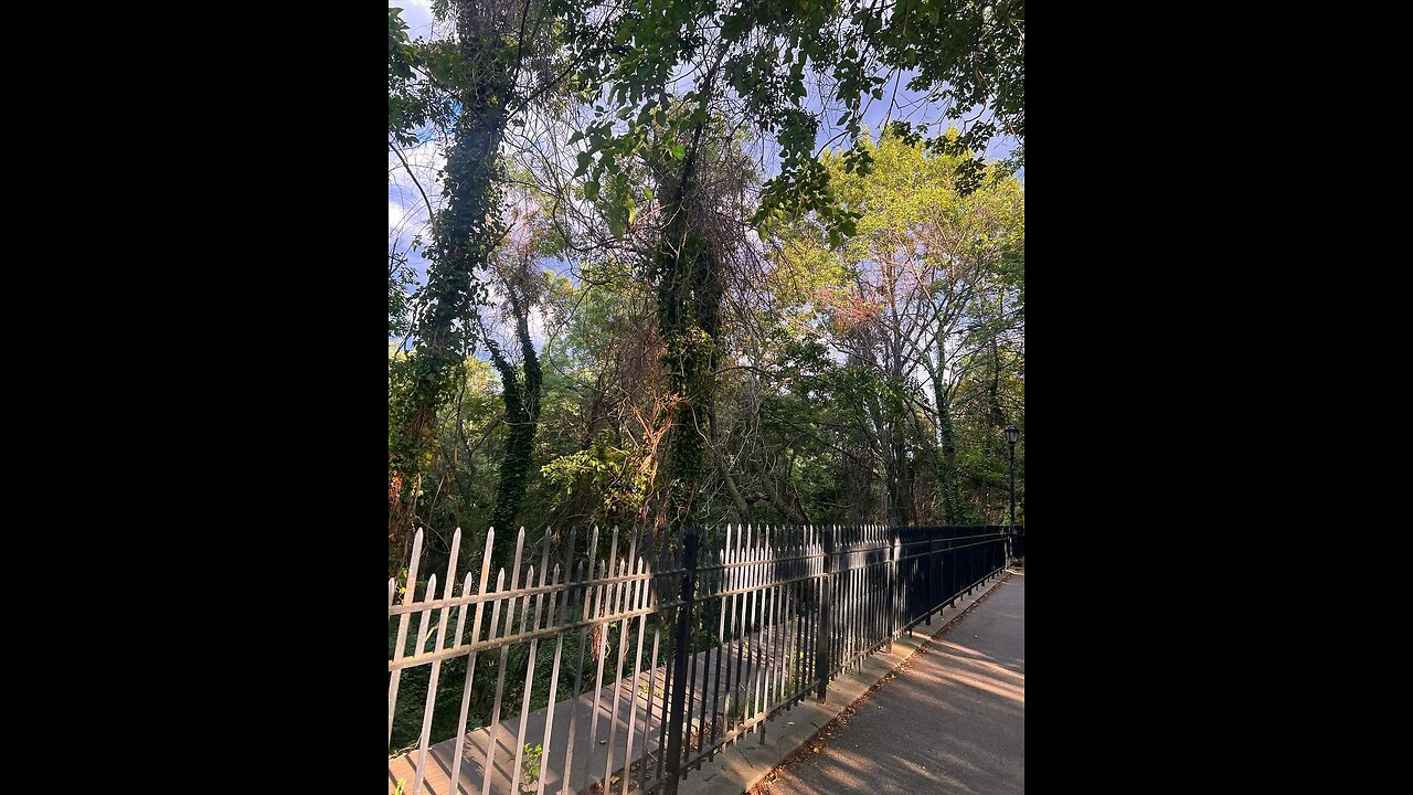 @citrusbian in THPS2