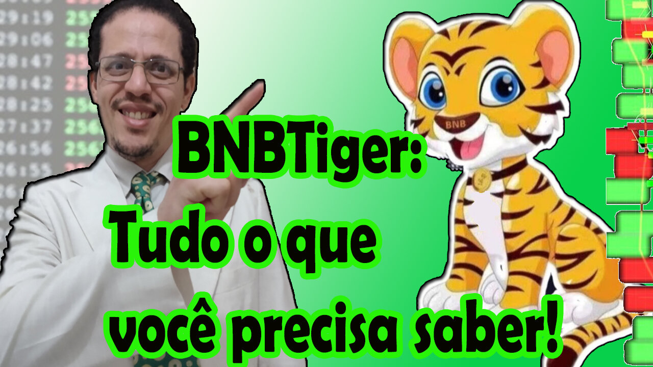 🚀BNBTiger; Vale a pena investir na BNBTiger? Que moeda é essa? O que você precisa saber!