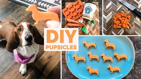 Homemade Apple Carrot Cooler Dog Treats