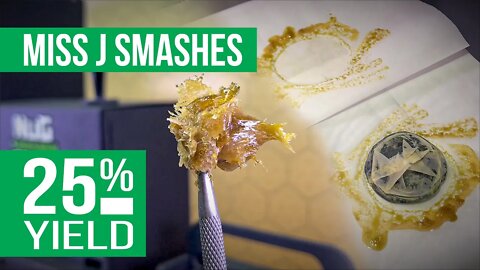 MissJ Smashes a 25% return with the NugSmasher® XP.