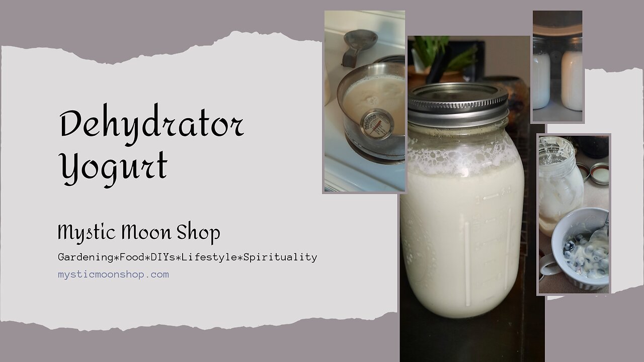 Making Yogurt In A Dehydrator, Save Money Make Your Own